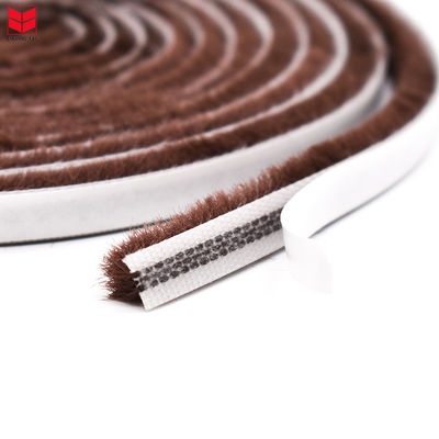 100% de material Pp Pile de lã Faixa de tempo com estilo de design moderno e certificado ISO9001 2008 em cores cinza preto